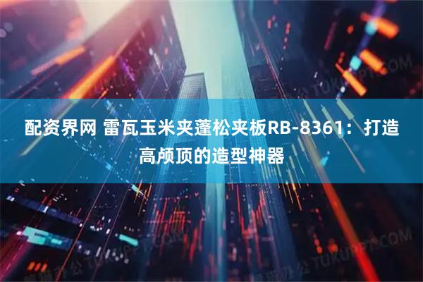 配资界网 雷瓦玉米夹蓬松夹板RB-8361：打造高颅顶的造型神器