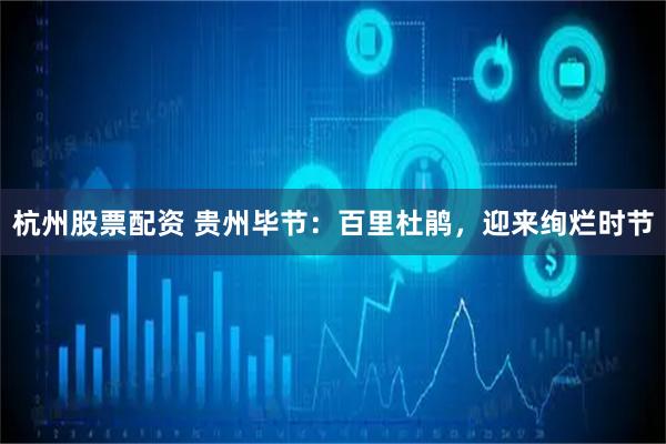 杭州股票配资 贵州毕节：百里杜鹃，迎来绚烂时节