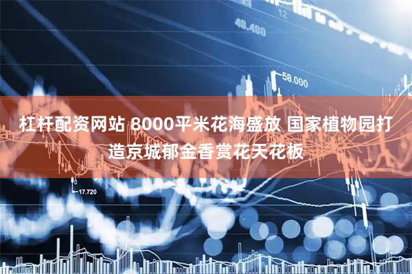 杠杆配资网站 8000平米花海盛放 国家植物园打造京城郁金香赏花天花板
