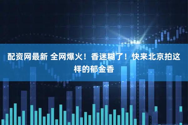 配资网最新 全网爆火！香迷糊了！快来北京拍这样的郁金香